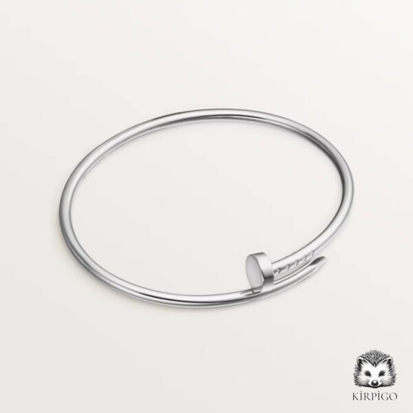 Cartier Juste Un Clou Bracelet (Bileklik) - Görsel 2